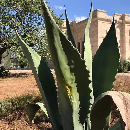 Fontana Vila Francavilla Fontana